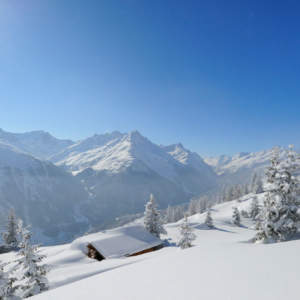 Grischuna für Firnschnee